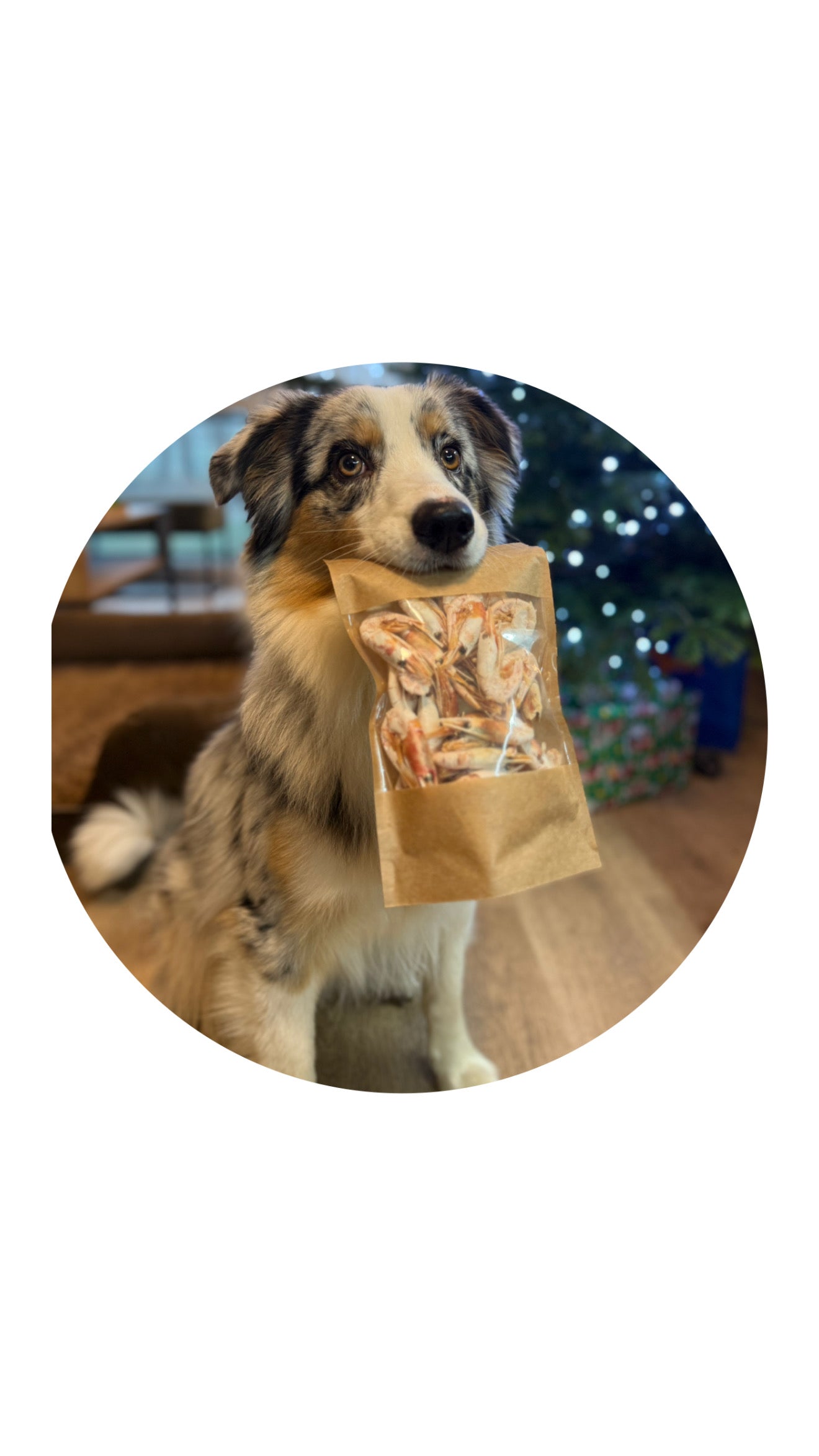 Džiovintos krevetės su kiautu