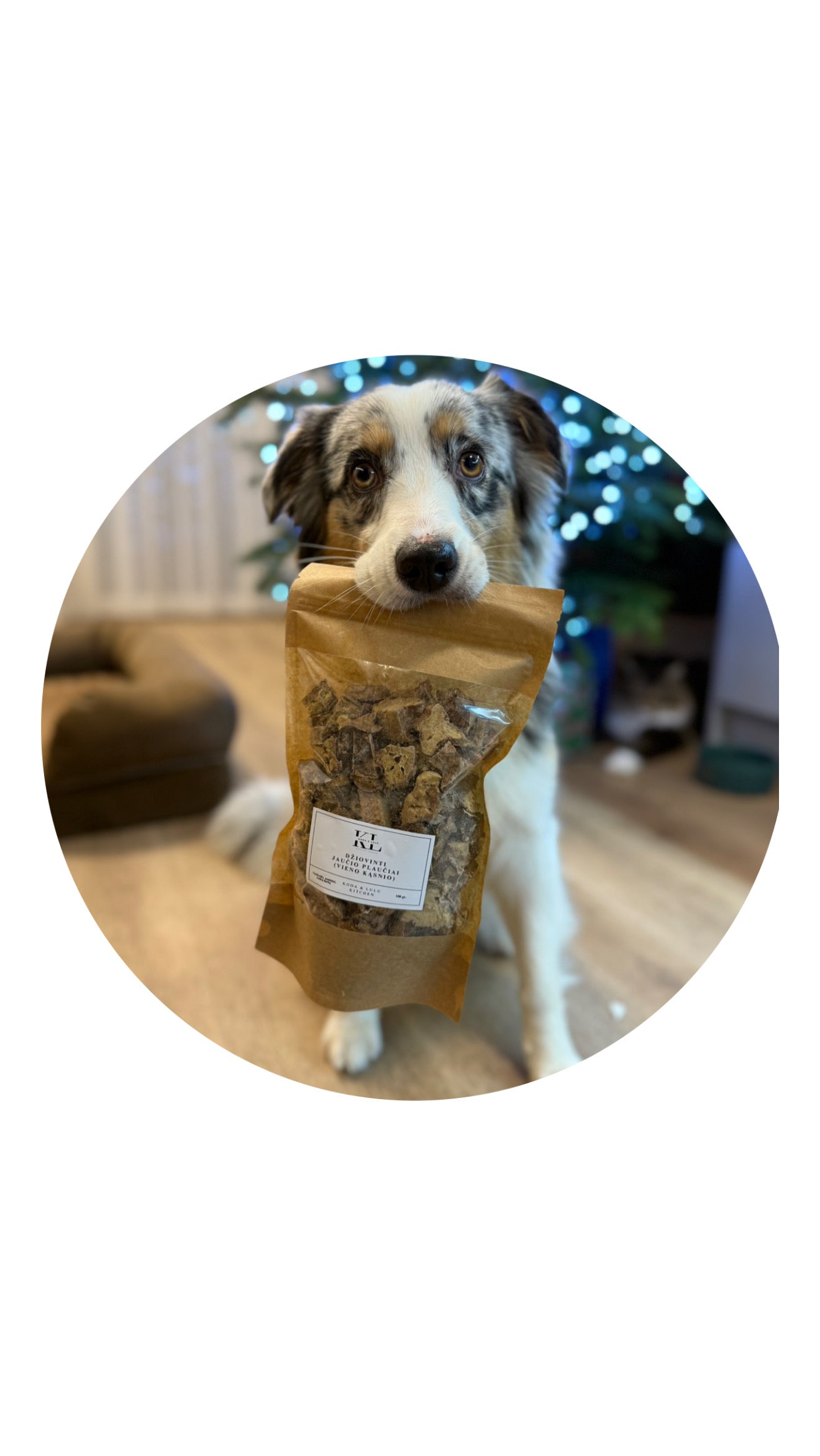 Džiovinti jaučio plaučiai (Vieno kąsnio)