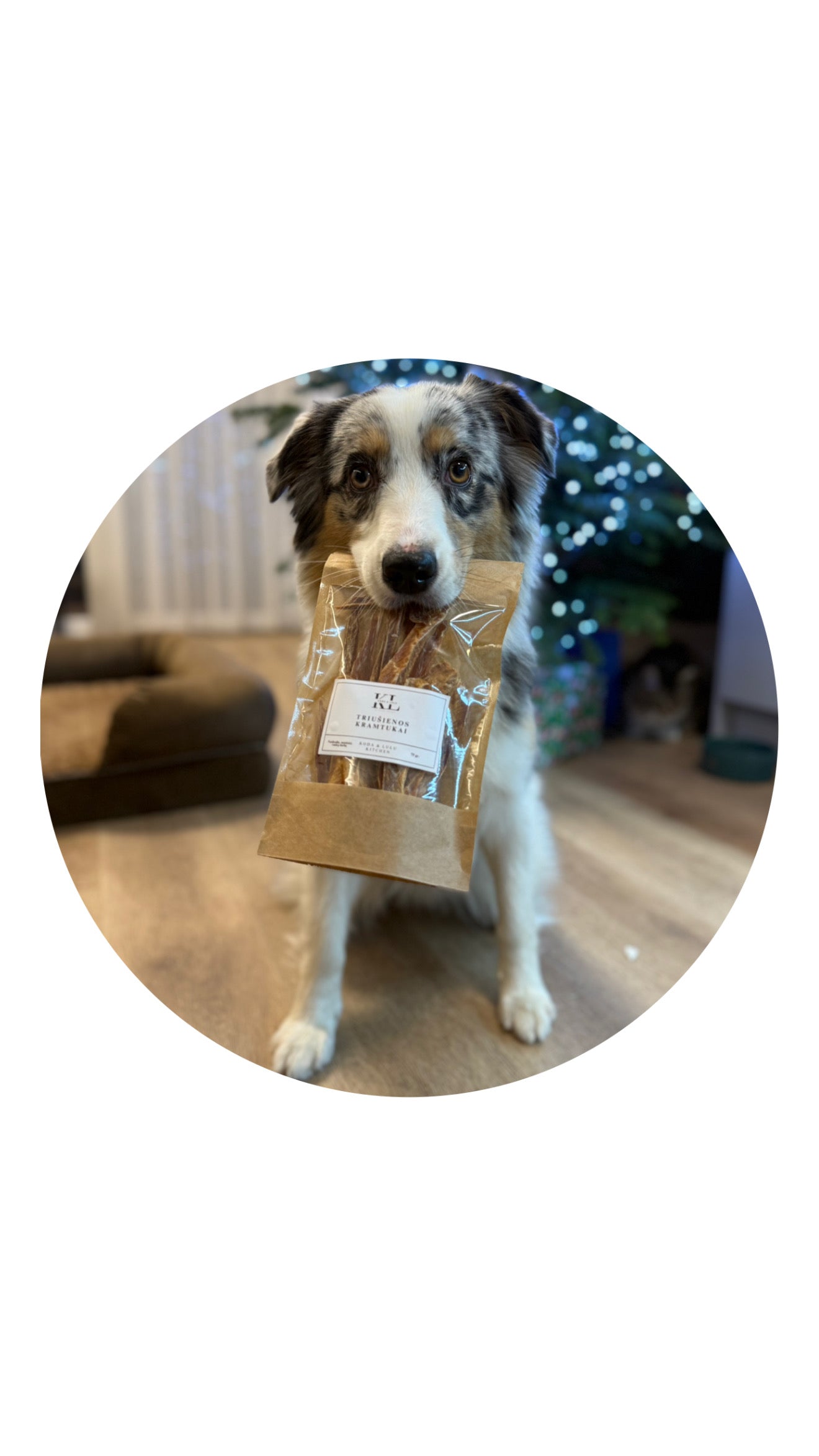 Triušienos kramtukai